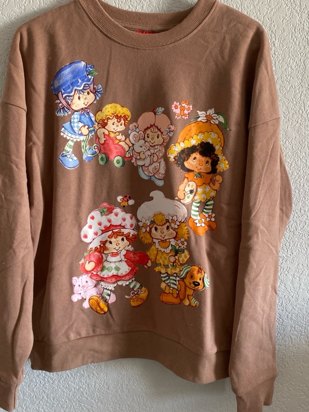 Brown Strawberry Character Graphic Crewneck Sweatshirt